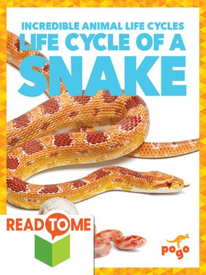 cover image of Life Cycle of a Snake